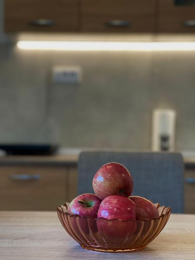 Apartman Mik Novi Sad Bagian luar foto