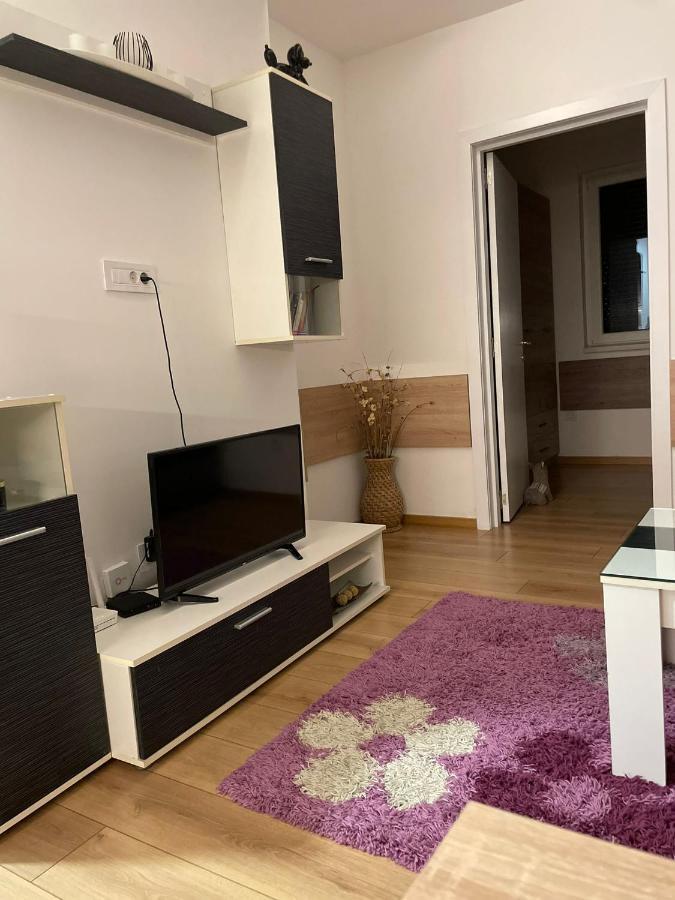 Apartman Mik Novi Sad Bagian luar foto