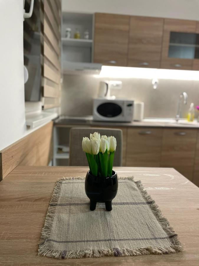 Apartman Mik Novi Sad Bagian luar foto