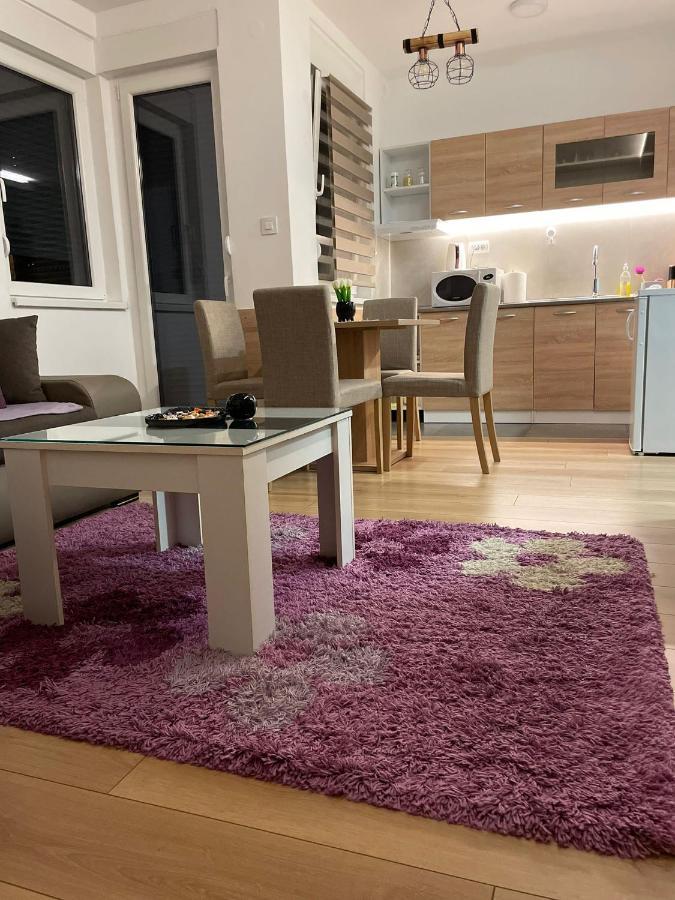 Apartman Mik Novi Sad Bagian luar foto