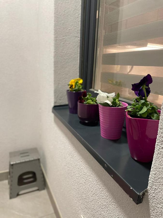 Apartman Mik Novi Sad Bagian luar foto